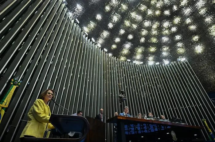 Programa de bolsas para formação de professor terá status de lei, aprova Senado