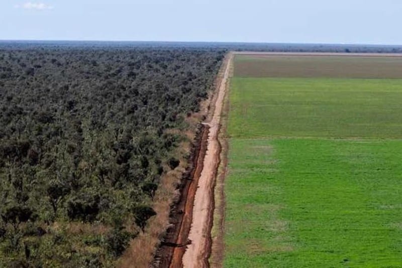 MPF pede que Assembleia do Piauí ouça povos indígenas e comunidades tradicionais antes de votar o zoneamento do Cerrado