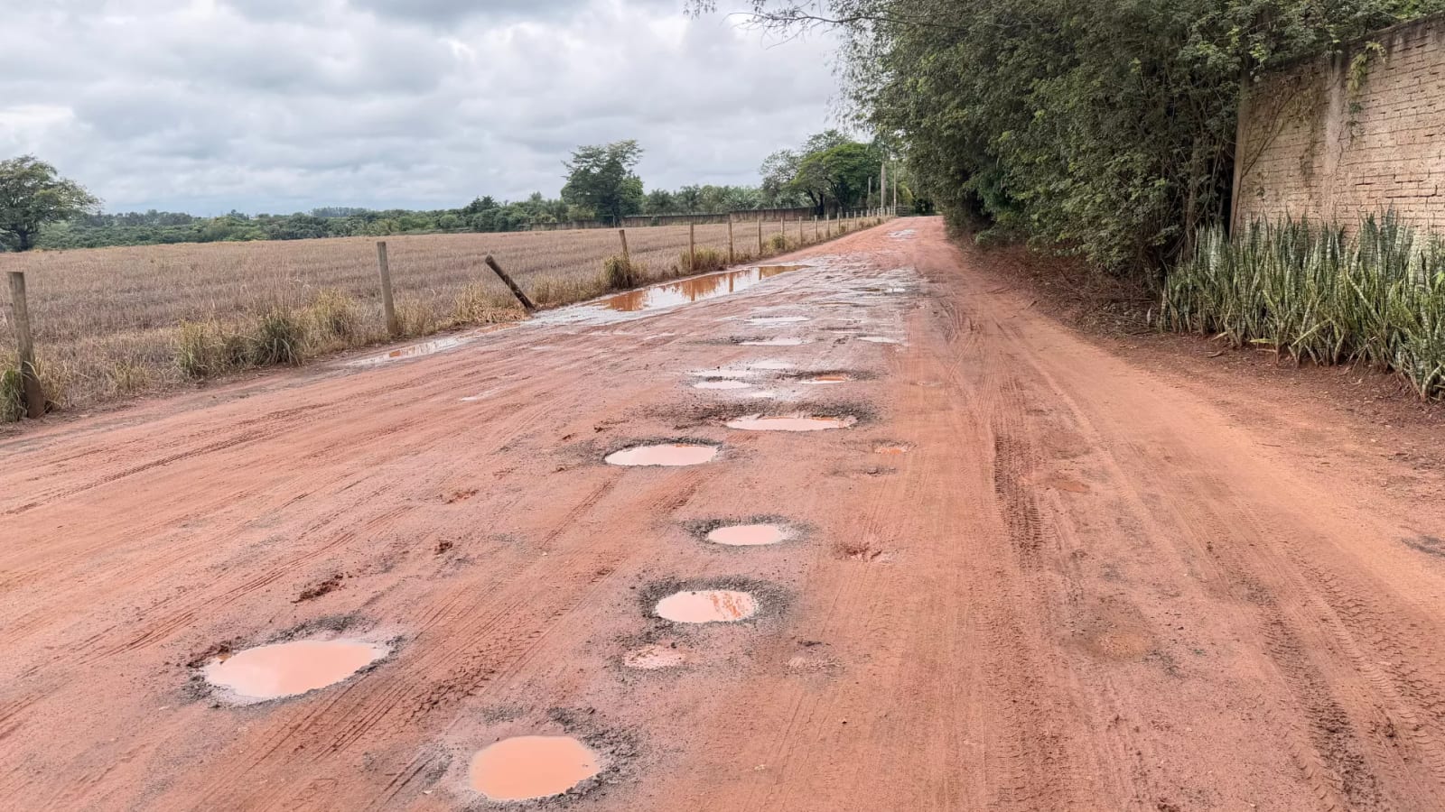 Buracos na estrada Água da Pinga em Assis/SP motivam pedido de melhorias