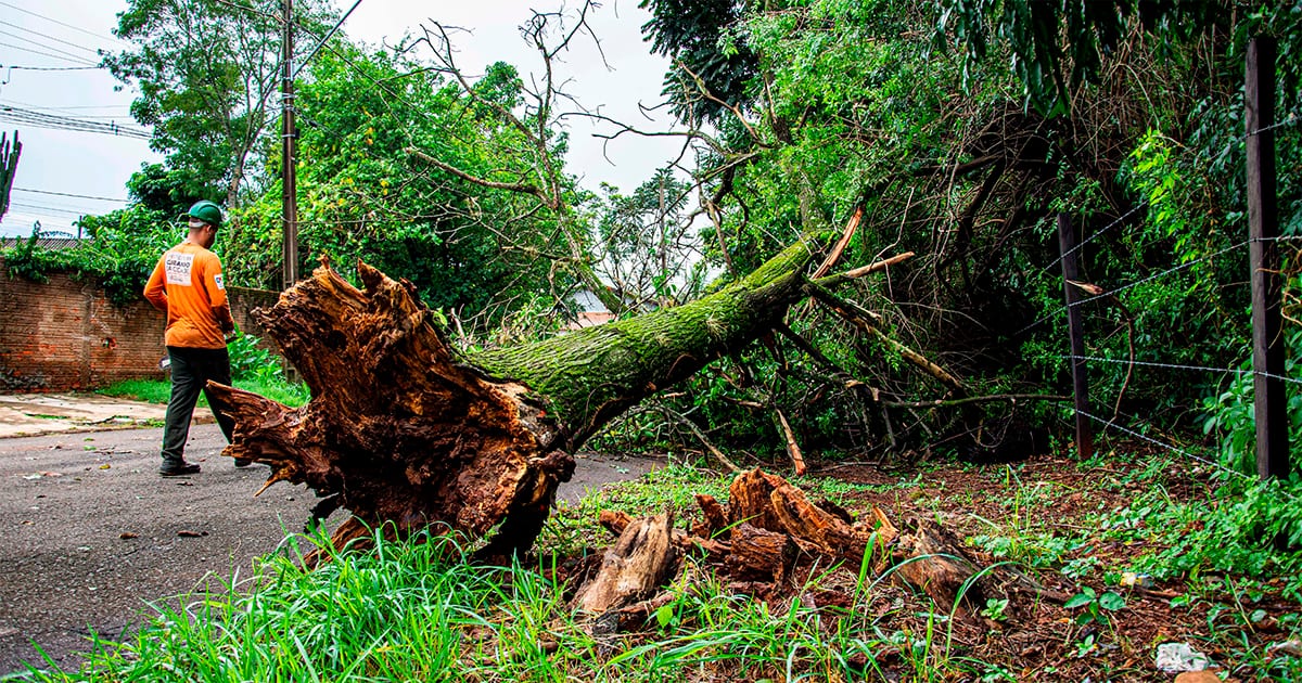 São Paulo cria Orçamento Climático e integra metas ao PPA 2026-2029