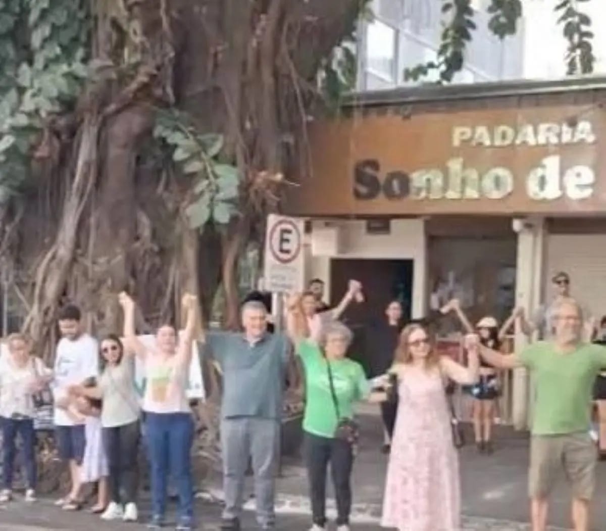 MPGO recomenda a município suspender corte de gameleiras de 70 anos na Praça da Cirrose
