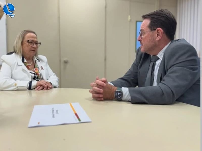 Hemodiálise: deputado Santini manteve reunião com Arita Bergmann