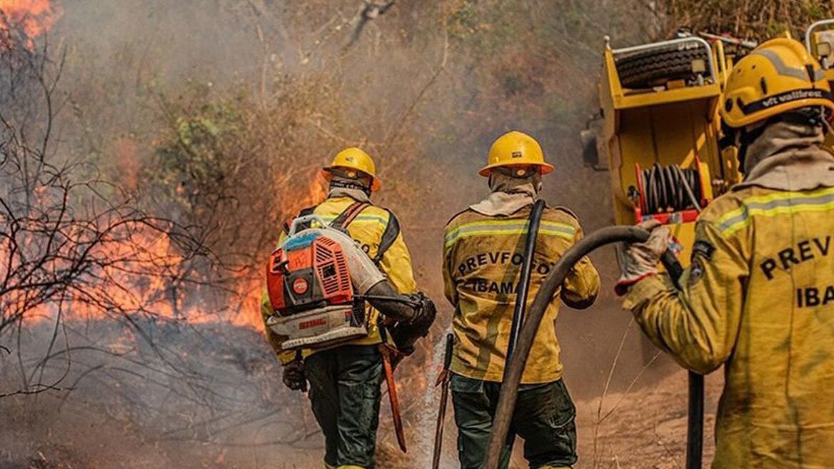 Incêndios no Amazonas levam governos federal e de SP a mobilizar força-tarefa