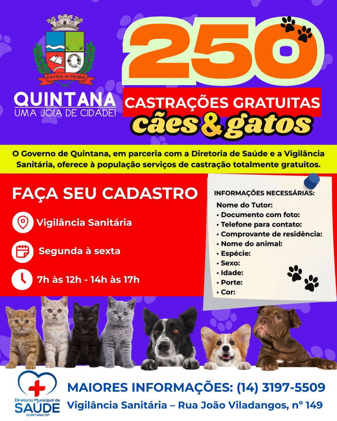 250 CASTRAÇÕES GRATUITAS: QUINTANA INVESTE NO BEM-ESTAR ANIMAL E NA SAÚDE PÚBLICA!
