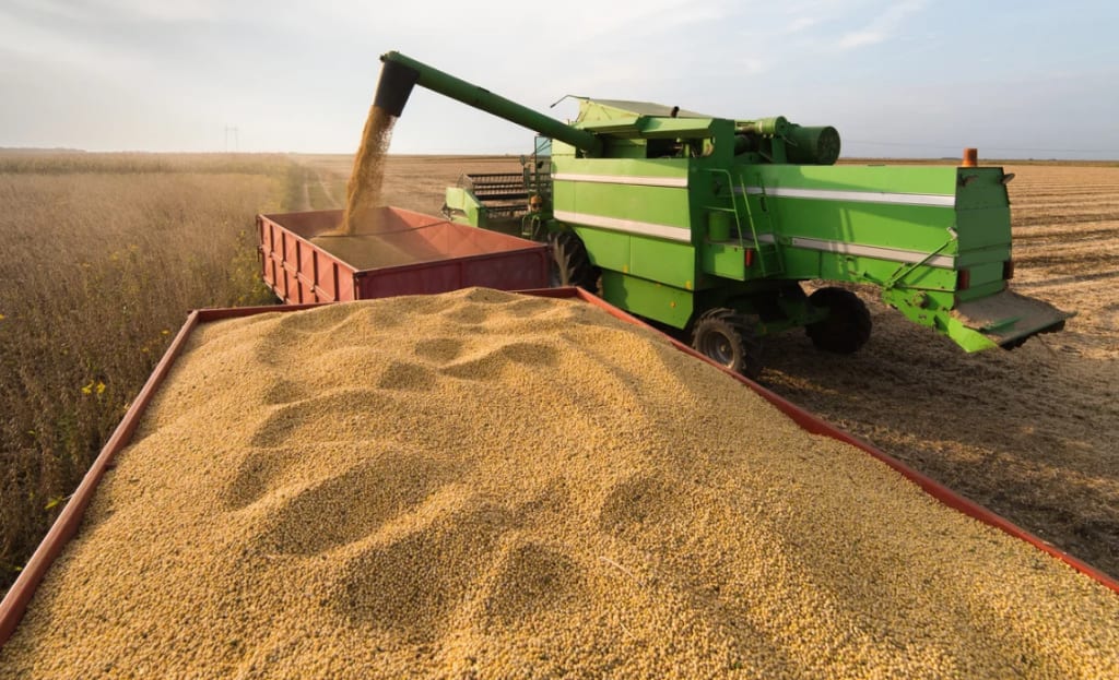 Valor Bruto da Produção Agropecuária é estimado em R$ 1,44 trilhão em setembro