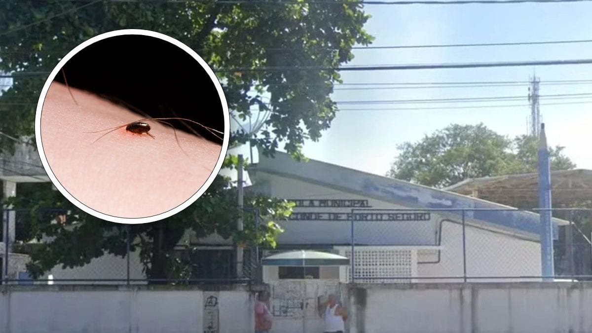 Infestação de pulgas obriga TRE a mudar local de votação de 3 mil eleitores no Rio de Janeiro