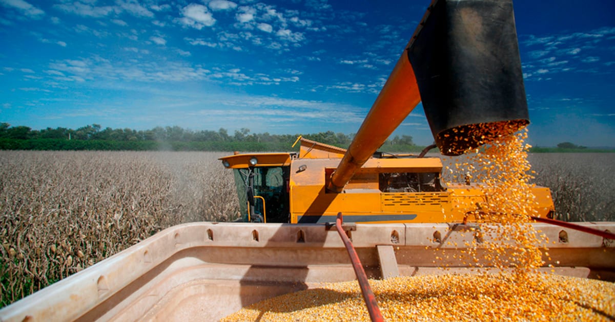 Crédito rural para a agricultura empresarial soma R$ 107,1 bi nos três primeiros meses da safra 2026/2027
