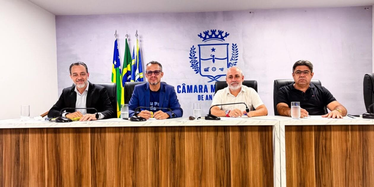 Câmara de Anápolis aprova política de saúde mental materna