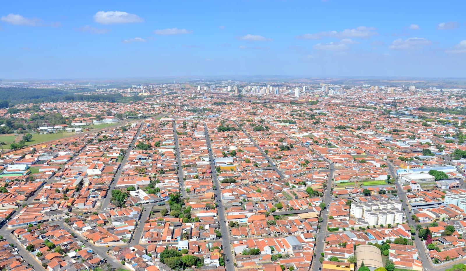 Condema pede planejamento para ampliar arborização em Rio Claro