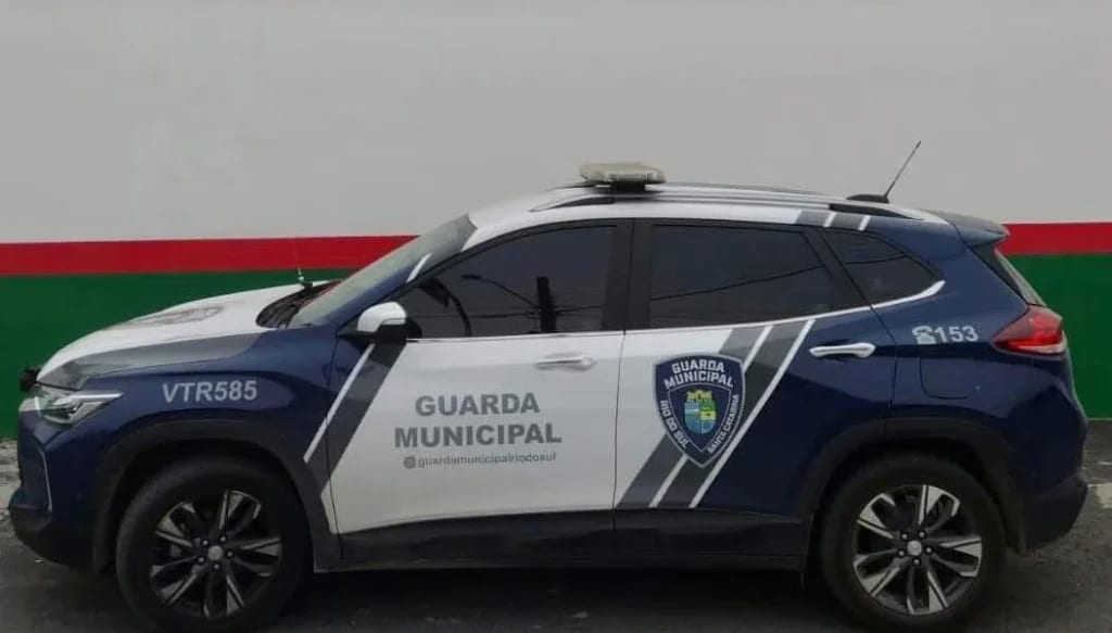 Homem é detido após furto de celular, em Rio do Sul