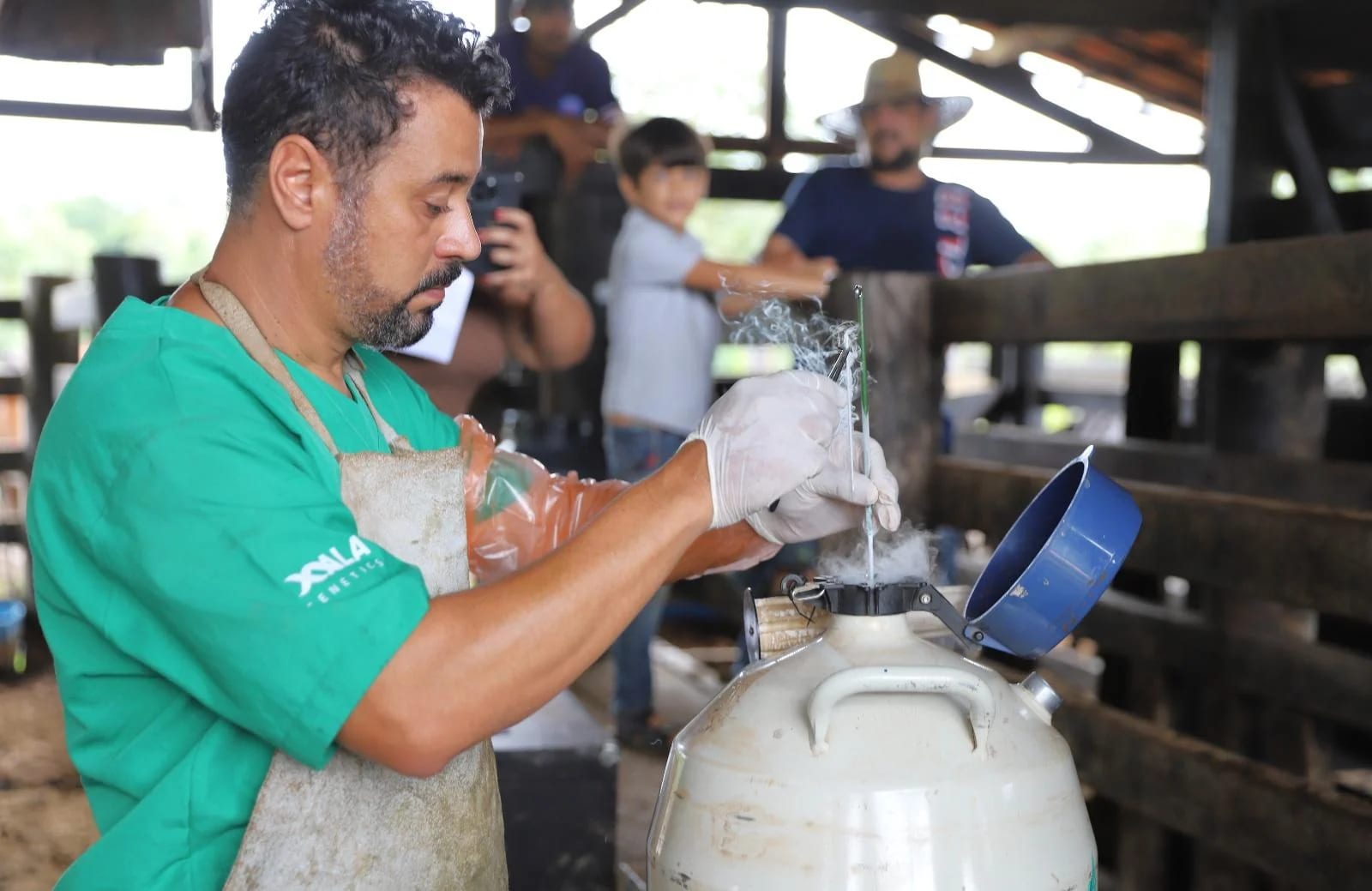 Brasil conquista novos mercados para exportação de genética bovina e produtos de origem animal
