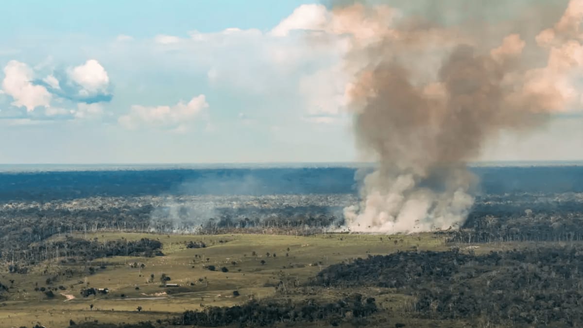 Incêndios deixam ar muito insalubre em Santarém; Pará tem 922 focos