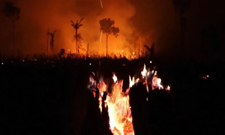 Queimadas disparam em Manaus e municípios vizinhos após primeiro turno