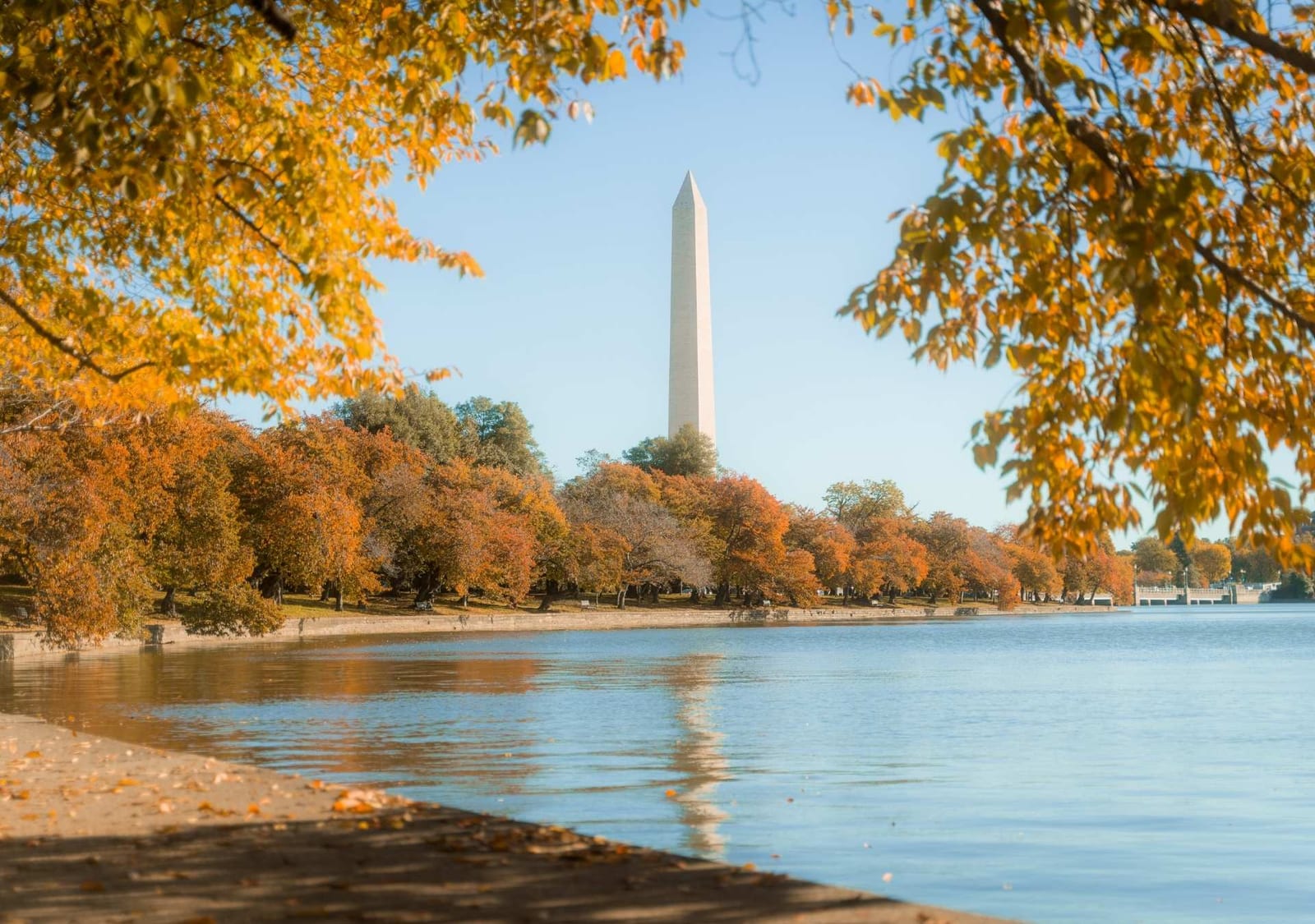 Washington revela um outono entre arte, hotelaria e experiências exclusivas