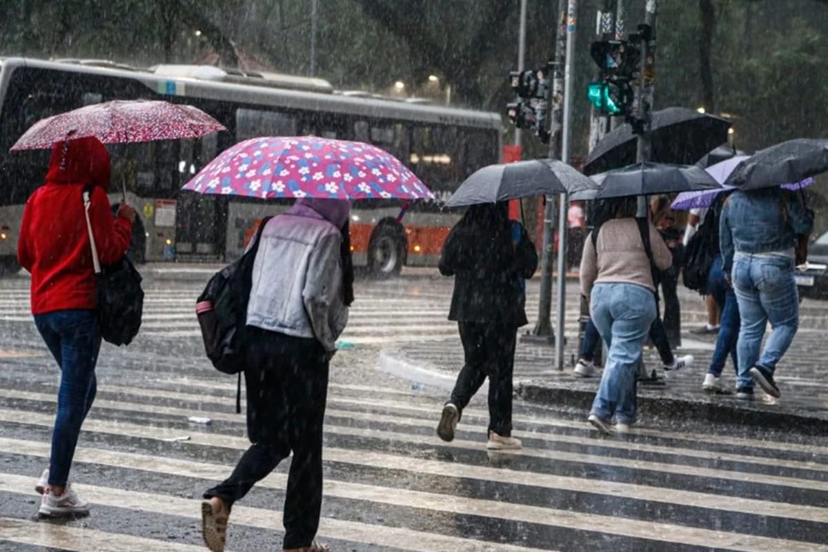 São Paulo teve setembro mais chuvoso desde 1943: 253,8 mm até 14/9