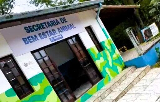 Secretaria de Bem-Estar Animal de Jandira está à disposição da população e orienta sobre ocorrências envolvendo animais