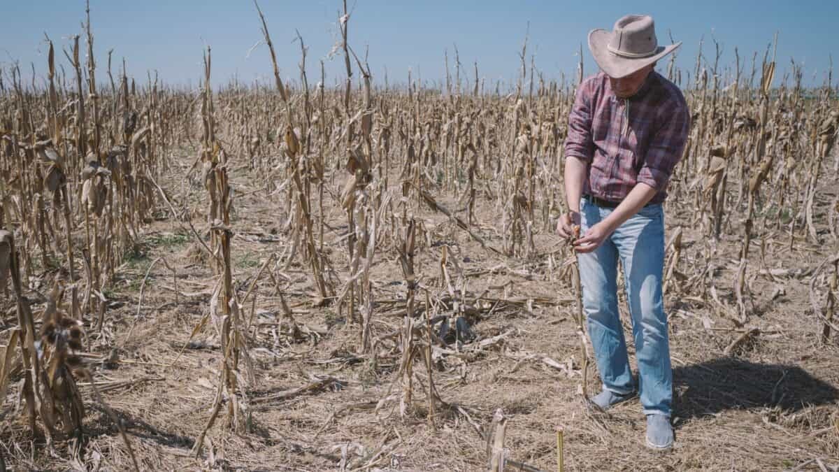 A Agricultura entre o Excesso e a Falta. Como Produzir sob Extremos Climáticos