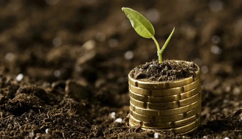 Biodiversidade dá negócio! Veja as sugestões do Sebrae para os candidatos às eleições