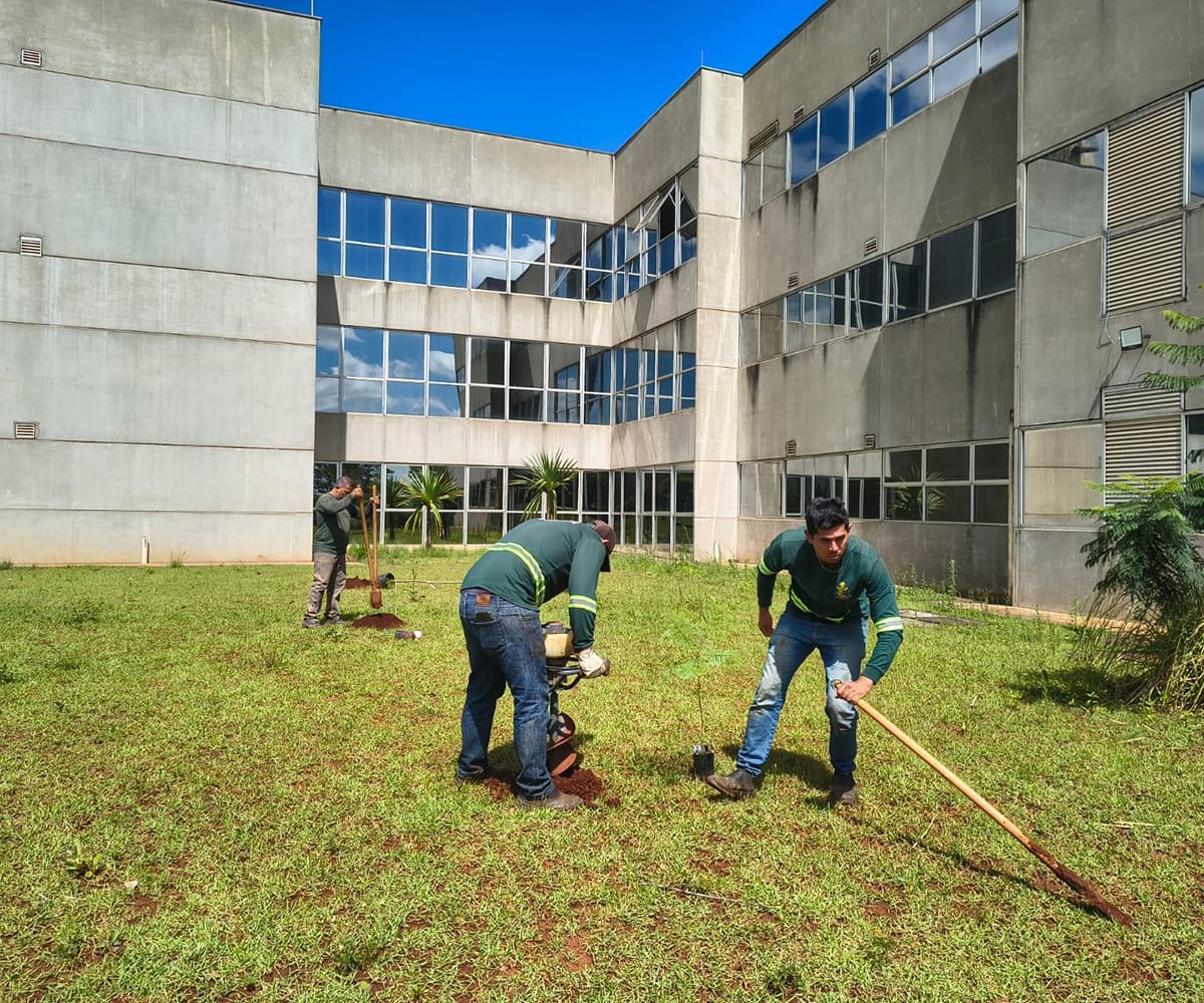 Plantio de 24 mudas amplia arborização no entorno do fórum de Tatuí