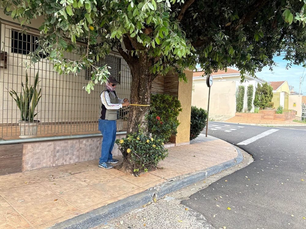No mês da Árvore, Votuporanga avança no mapeamento da arborização urbana