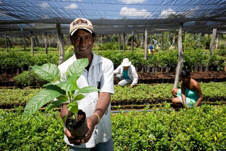 No Tocantins, órgãos públicos já contrataram mais de R$ 297,7 mil pelo Contrata+Brasil