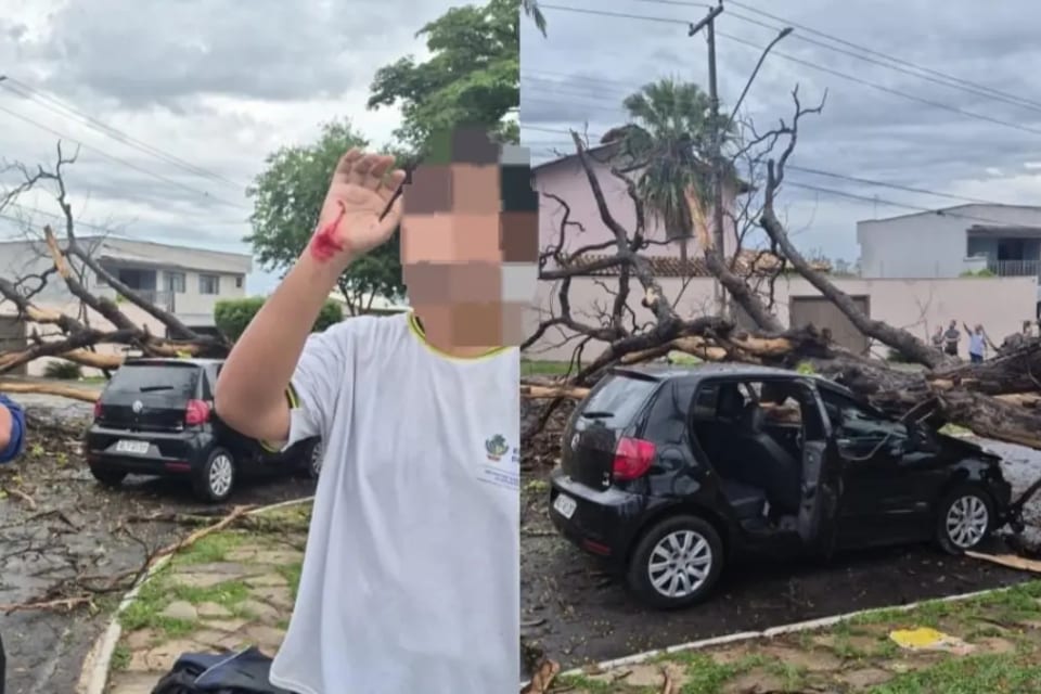 Jovens ficam feridos após carro ser atingido por queda de árvore durante chuva em Goiânia