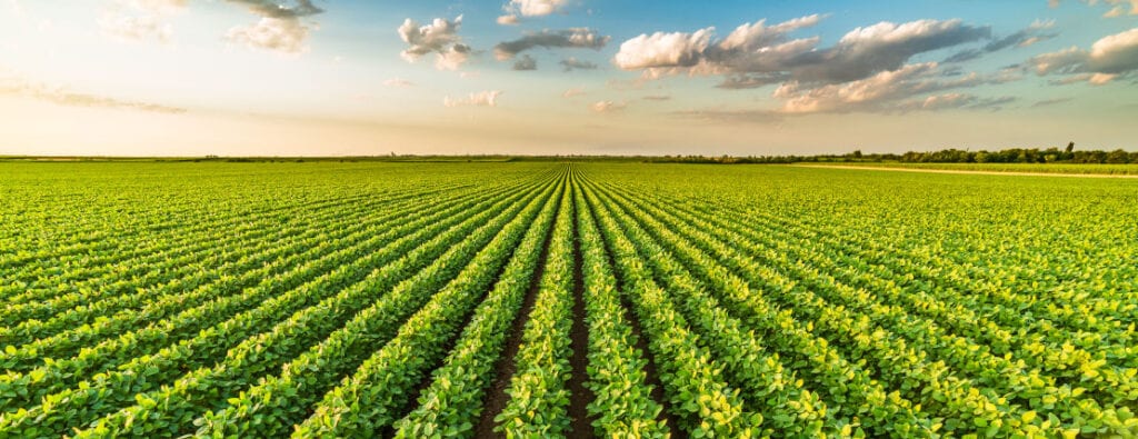 Embrapa leva missão à China para ampliar parcerias em pesquisa agrícola