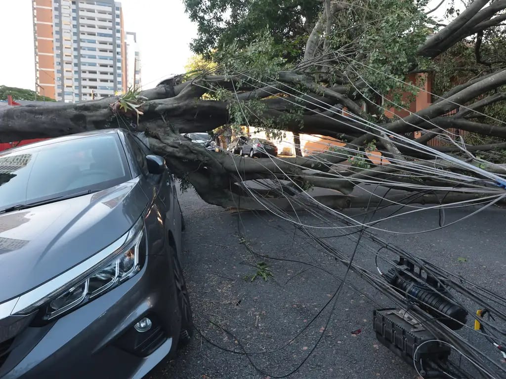 Candidatos a SP e à Presidência apresentam propostas diferentes contra eventos climáticos extremos