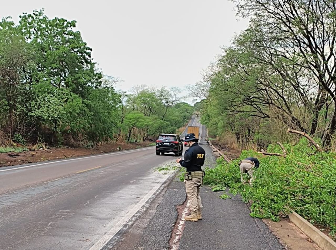 Chuvas Fortes Provocam Queda de Árvores e Interdição Parcial na BR-153 no Tocantins