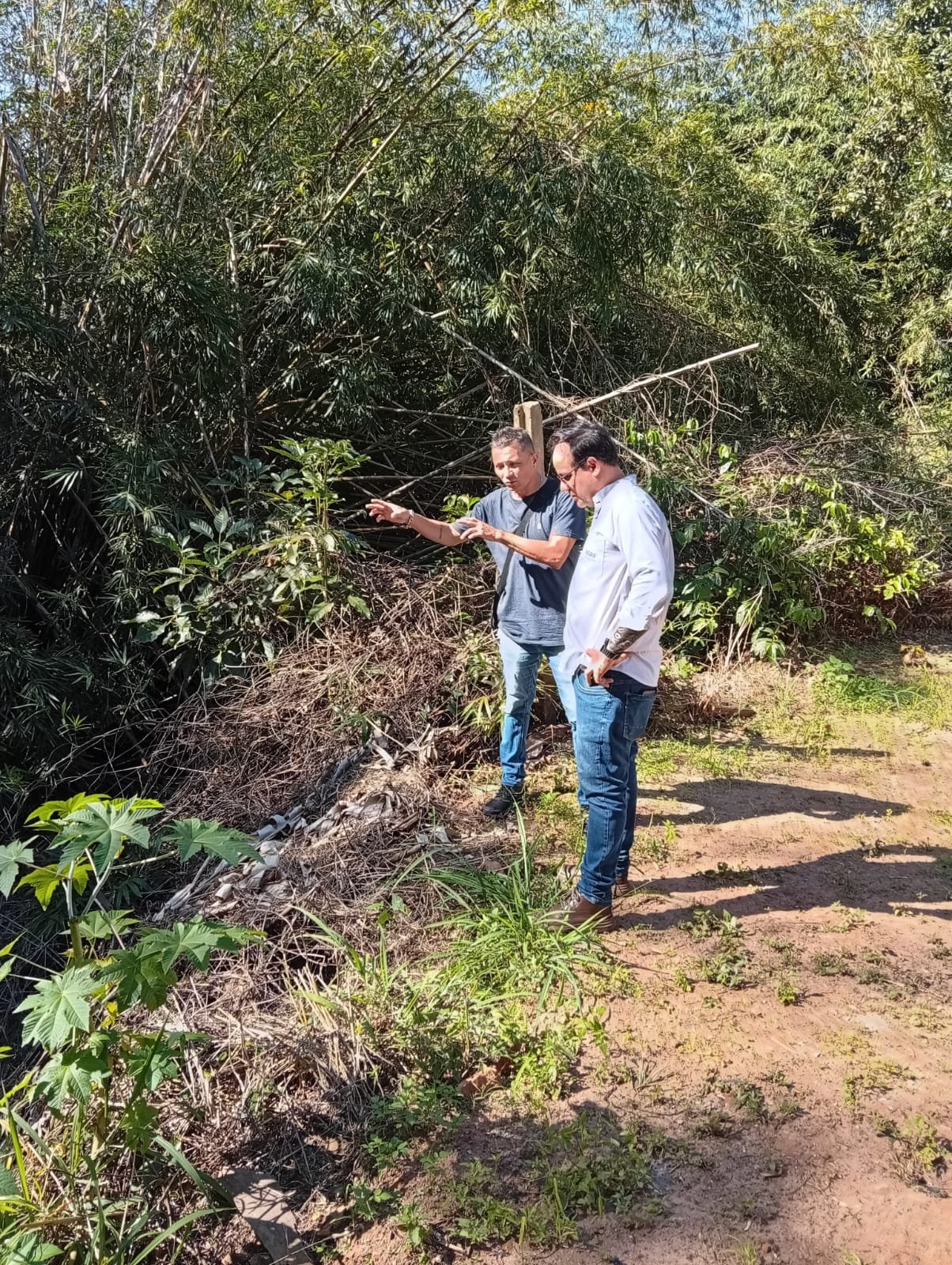 Projeto visa limpeza de córregos para prevenir alagamentos em Araçatuba