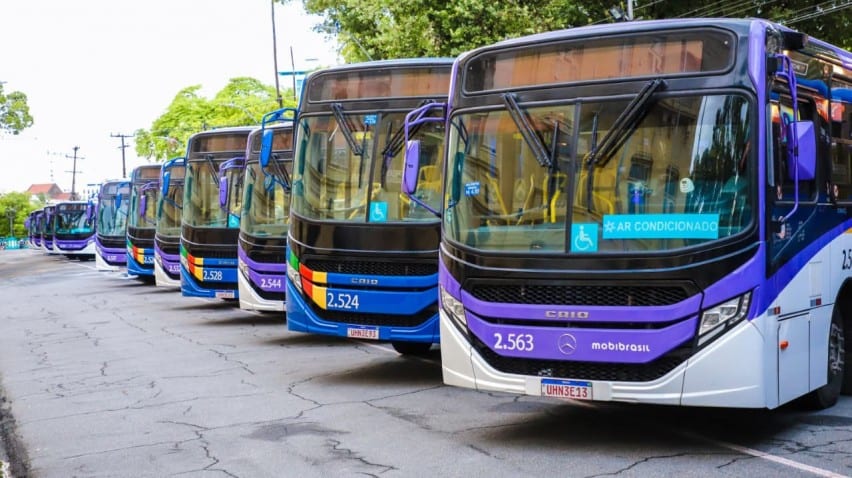 SSA 3 da UPE: Grande Recife reforça linhas de ônibus nos dois dias de prova; confira os itinerários