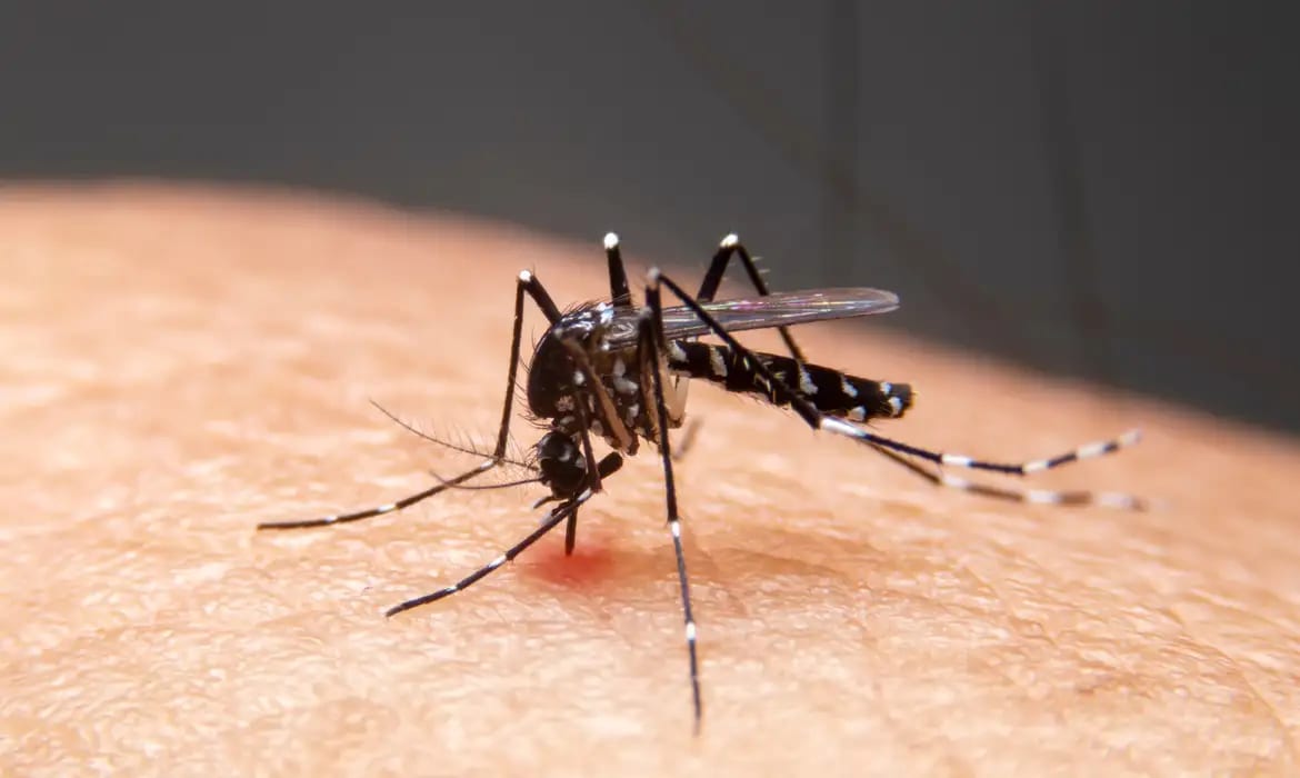 SAÚDE. Mudanças climáticas já causam aumento de doenças infecciosas no país, diz estudo