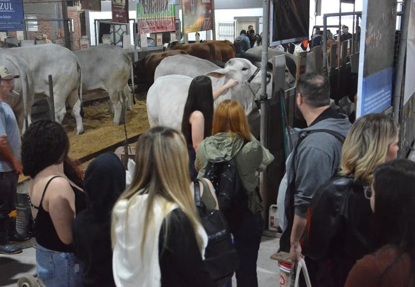 Governador Eduardo Leite destaca oportunidades para interação na Expointer 2026