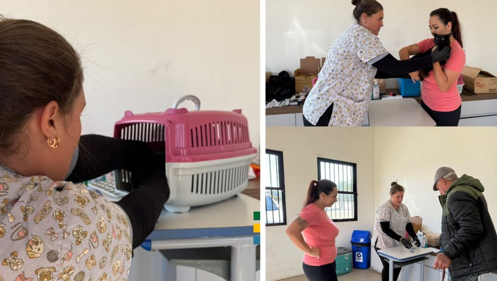 Mutirão de vacinação antirrábica imunizou mais de 160 cães e gatos em Torres
