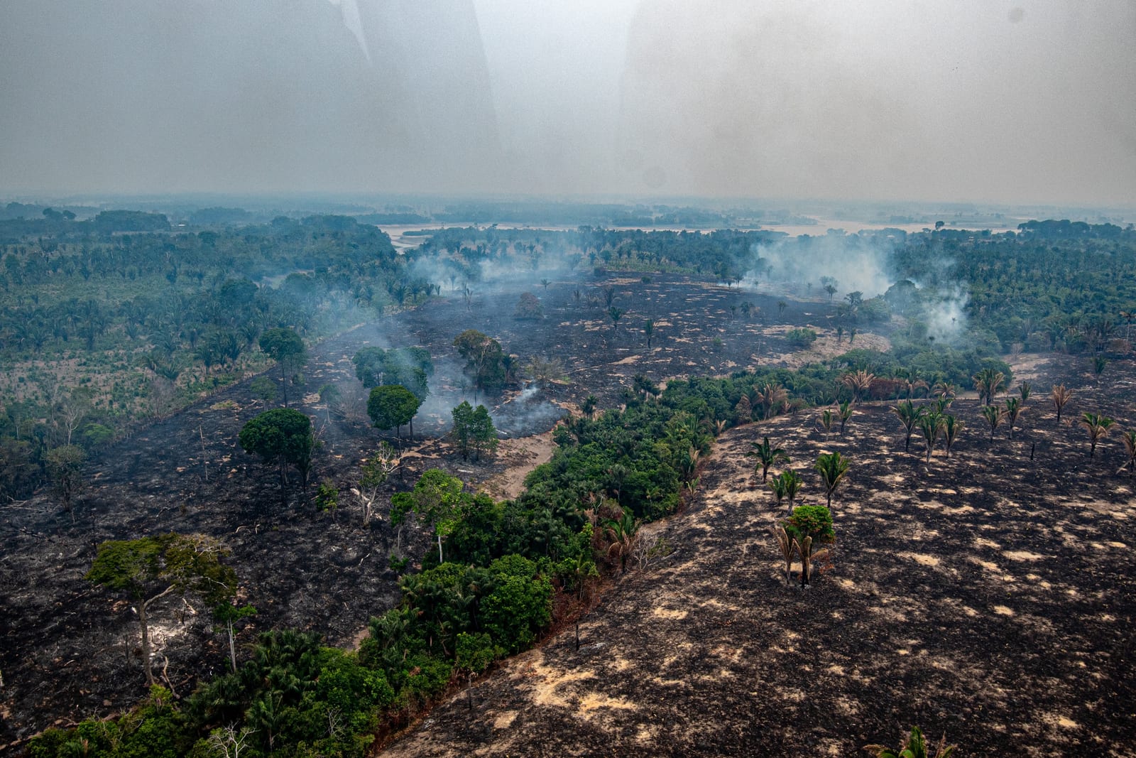80% dos focos no Amazonas estão em imóveis rurais privados; queimadas explodem após 4 de outubro