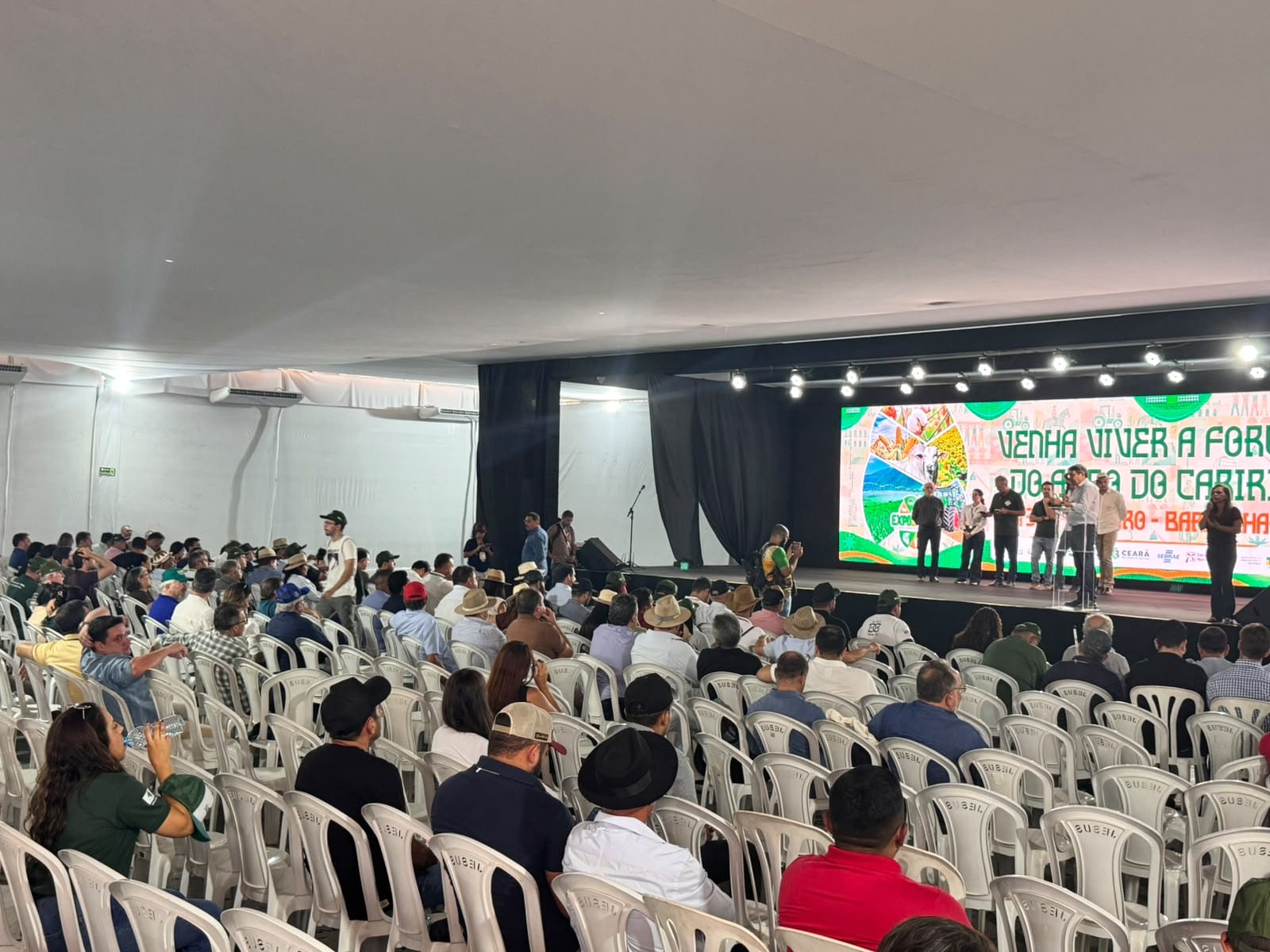 Países árabes importam US$ 1 bi em carne ovina