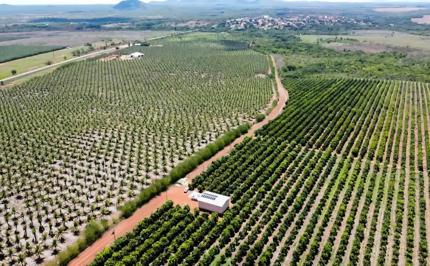 Tocantins é apontado como área que exige atenção por risco de poluição hídrica da agropecuária