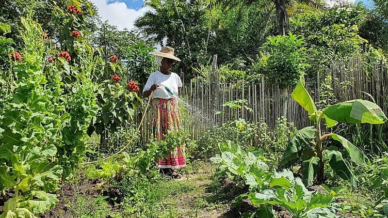 Câmara aprova Política Nacional de Agroecologia e Produção Orgânica