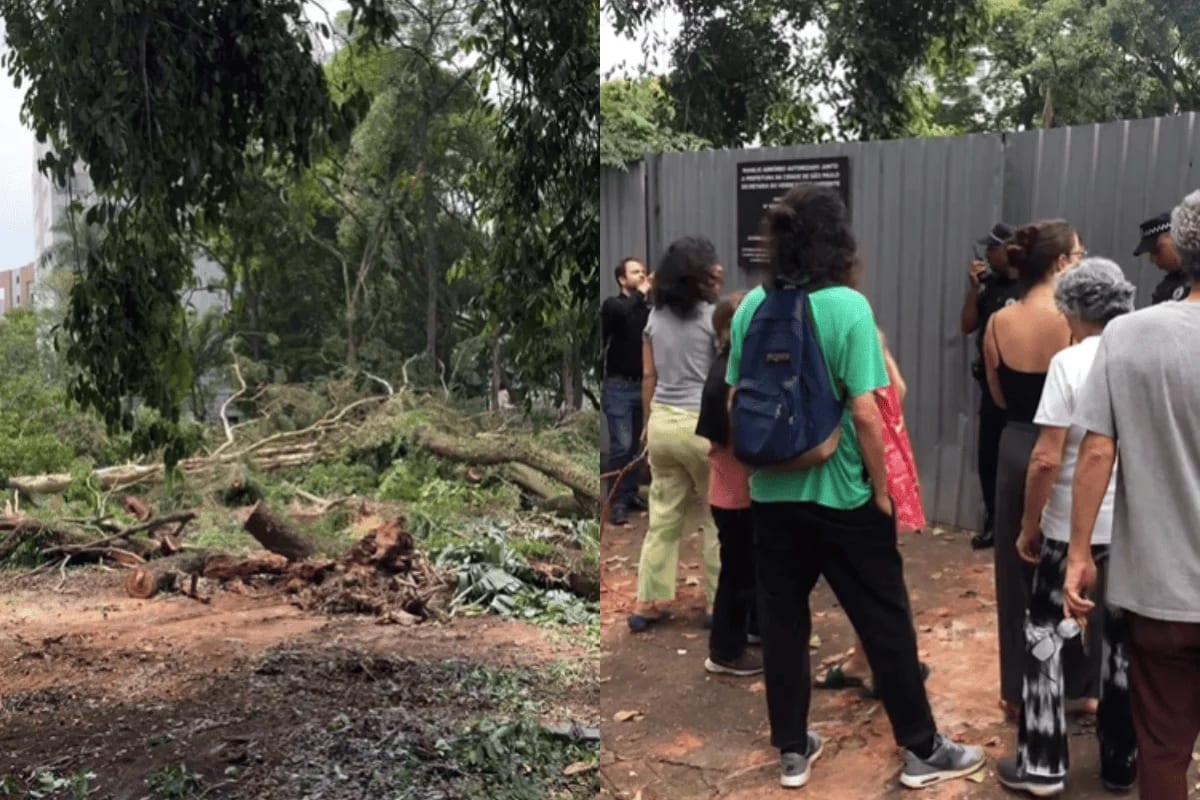Justiça autoriza obra que derrubou 118 árvores no Bosque dos Salesianos