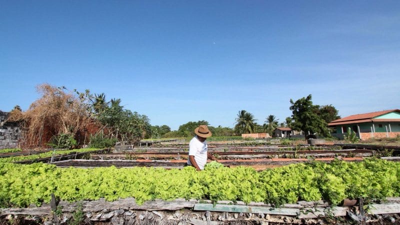 BNB define nesta sexta (11) como distribuir o FNE em Pernambuco para 2027