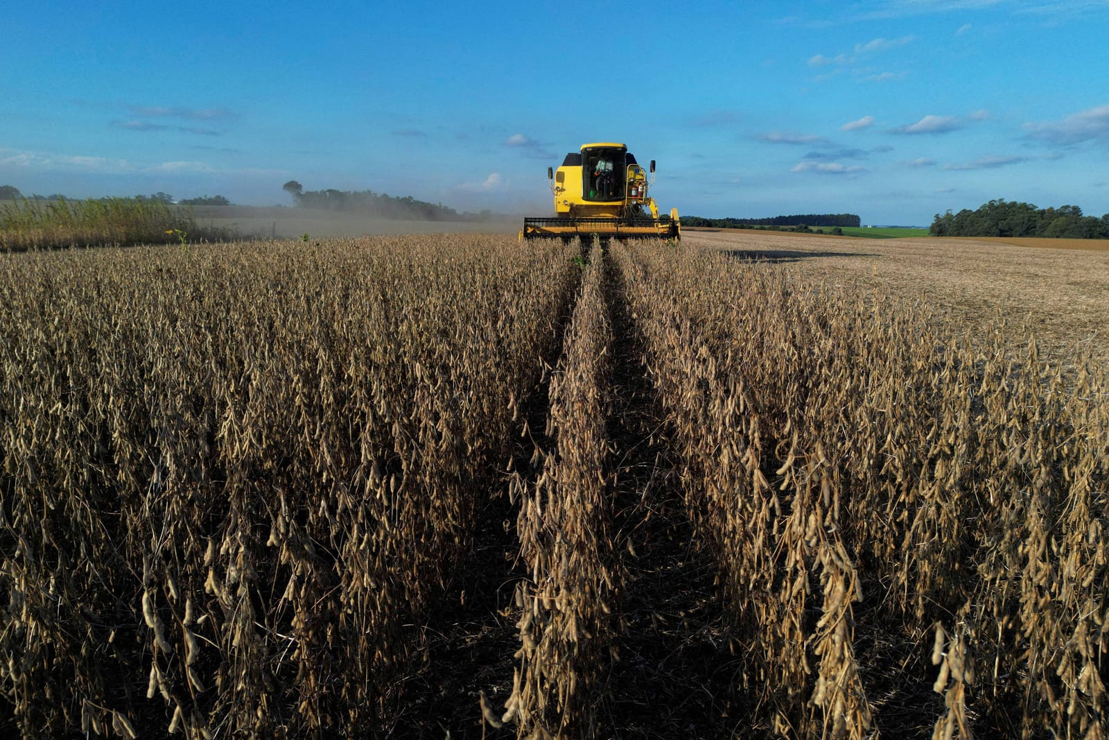 Governo prevê mudar regras da renegociação de dívidas do agro