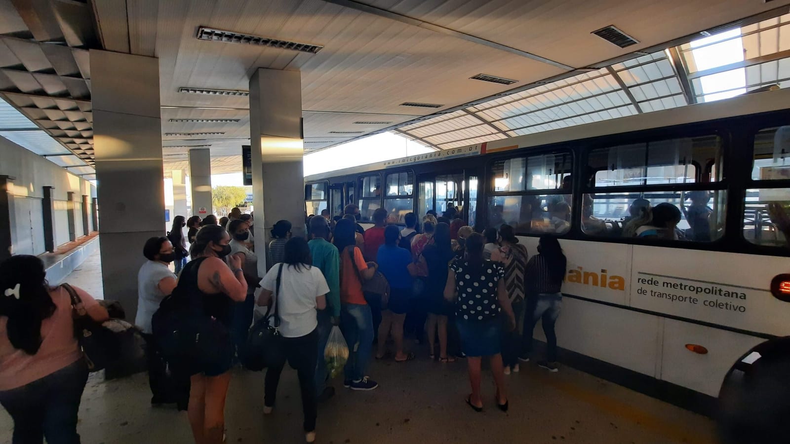 Goiânia terá ônibus gratuito no primeiro turno das eleições