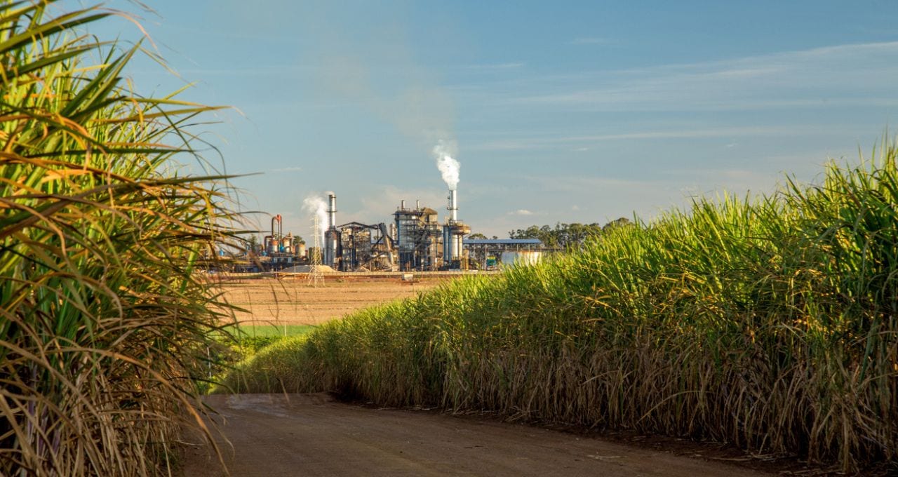 Raízen (RAIZ4), São Martinho (SMTO3) e FS lideram exposição ao crédito privado entre usinas; setor soma R$ 58,4 bilhões