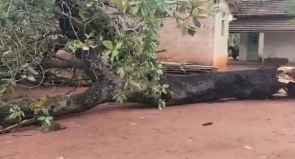 Chuva forte que atingiu a região causa estragos em Pereira Barreto e interrupção de atendimentos na prefeitura em Genera