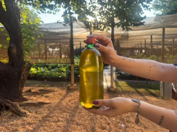 Palmas troca óleo de cozinha usado por mudas no Viveiro Municipal