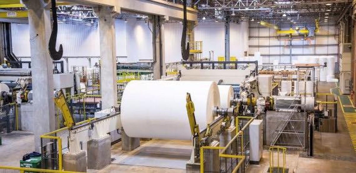 Produção e exportação de celulose batem recordes em 2025
