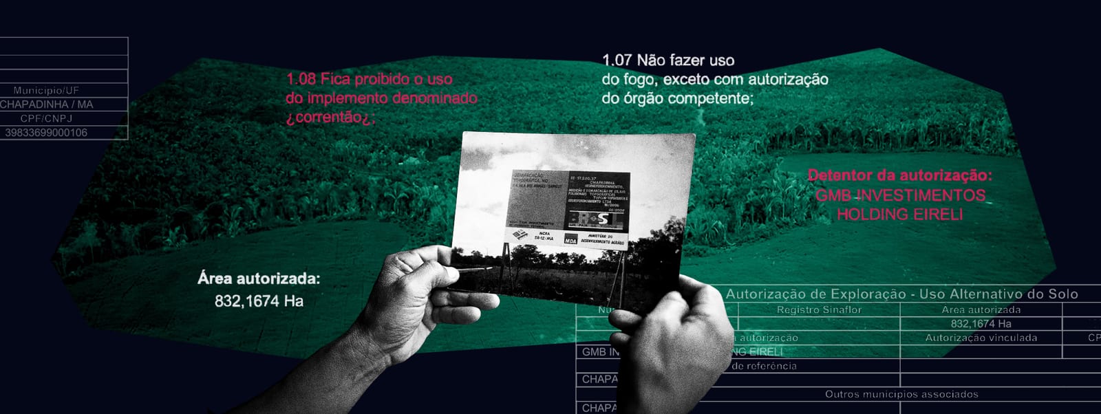 3.834 hectares autorizados em Chapadinha; comunidade perde roçados e água
