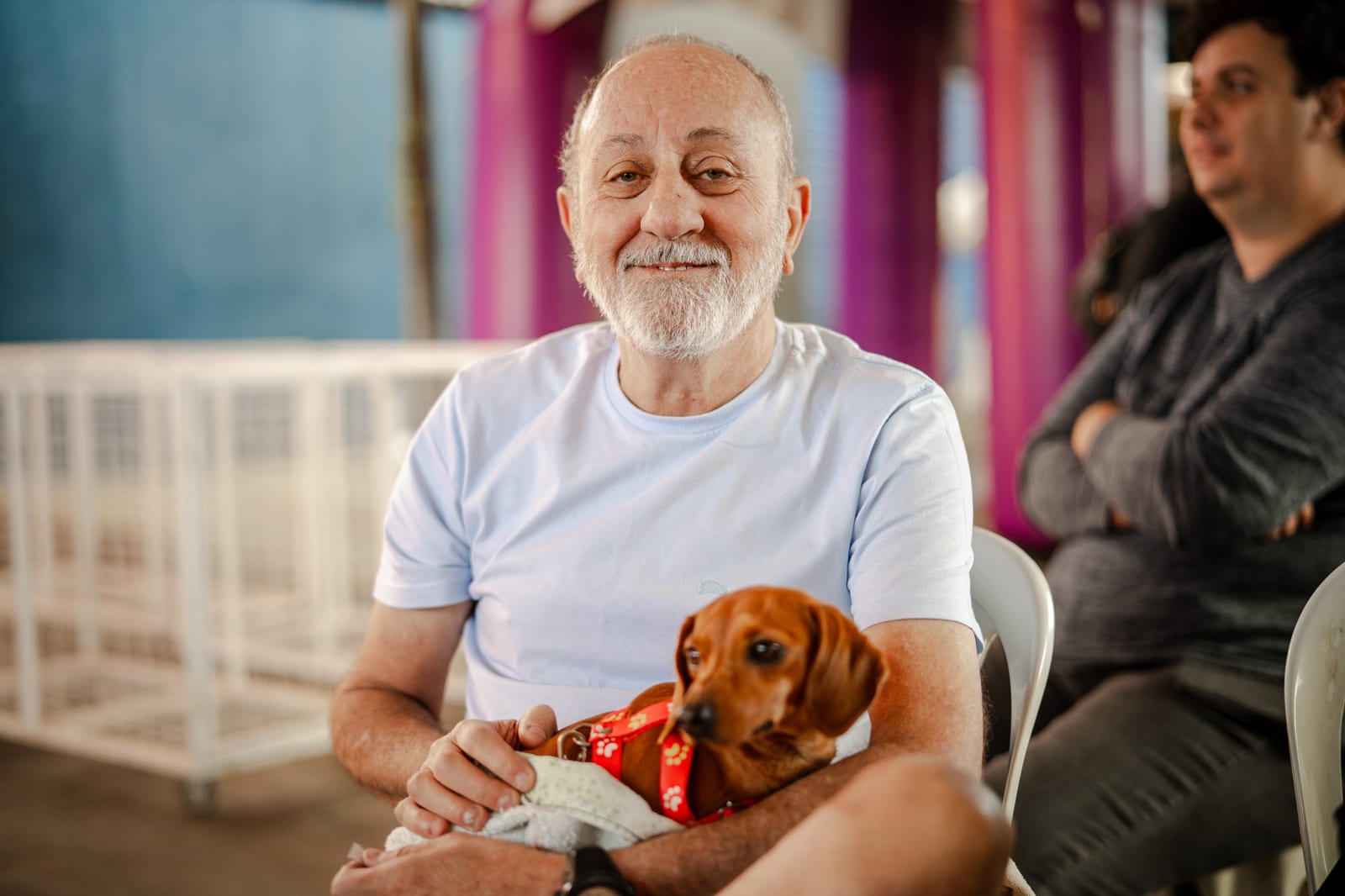 Prefeitura de Anápolis reforça cuidados essenciais para a adoção responsável de pets