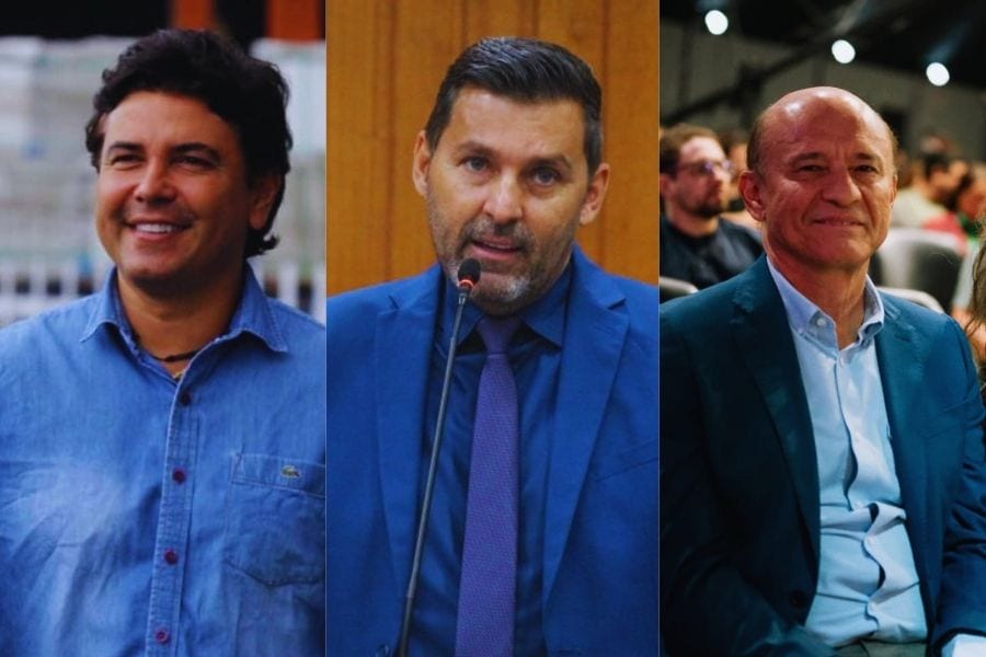 Democrata lança 31 candidatos a deputado estadual e não terá chapa federal