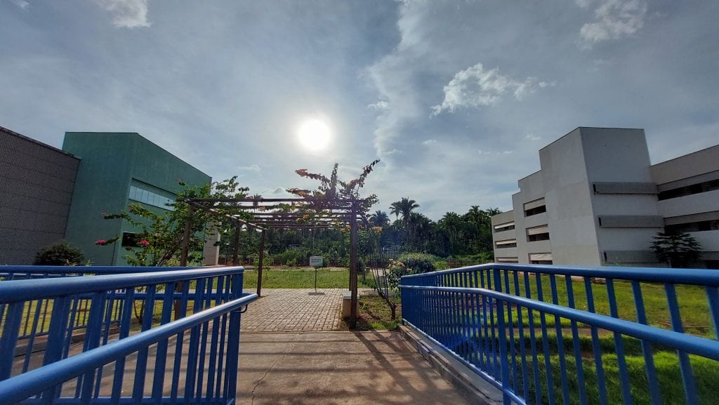 TOCANTINÓPOLIS: UFNT abre seleção para Professor Substituto com remuneração de até R$ 8,3 mil